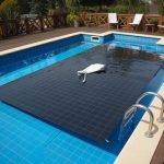 How to prevent algae growth before it begins